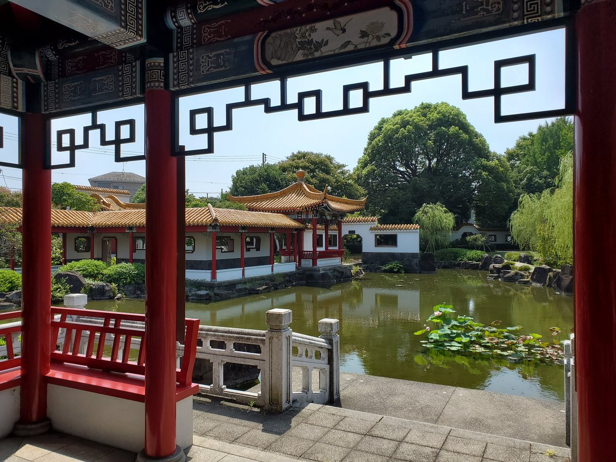 cyclecirclet_zw's tweet image. 夏の朝活ライドをしました!!!(3/3) #ロードバイク #trackbike #ピスト #roadbike #pist #ポタリング #ゆるポタ #tokyoride #bikeporno #都内ポタリング #都内ポタ #東京ライド #東京ポタリング #サイクリング #グループライド #groupride #川崎競馬場 #瀋秀園