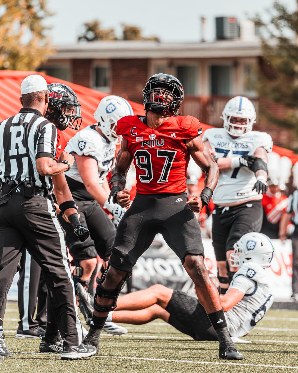 Thomas Hammock tweet media