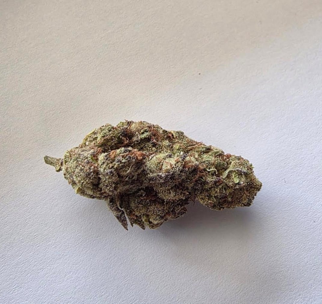 American Cannabis Society® $ACST tweet media