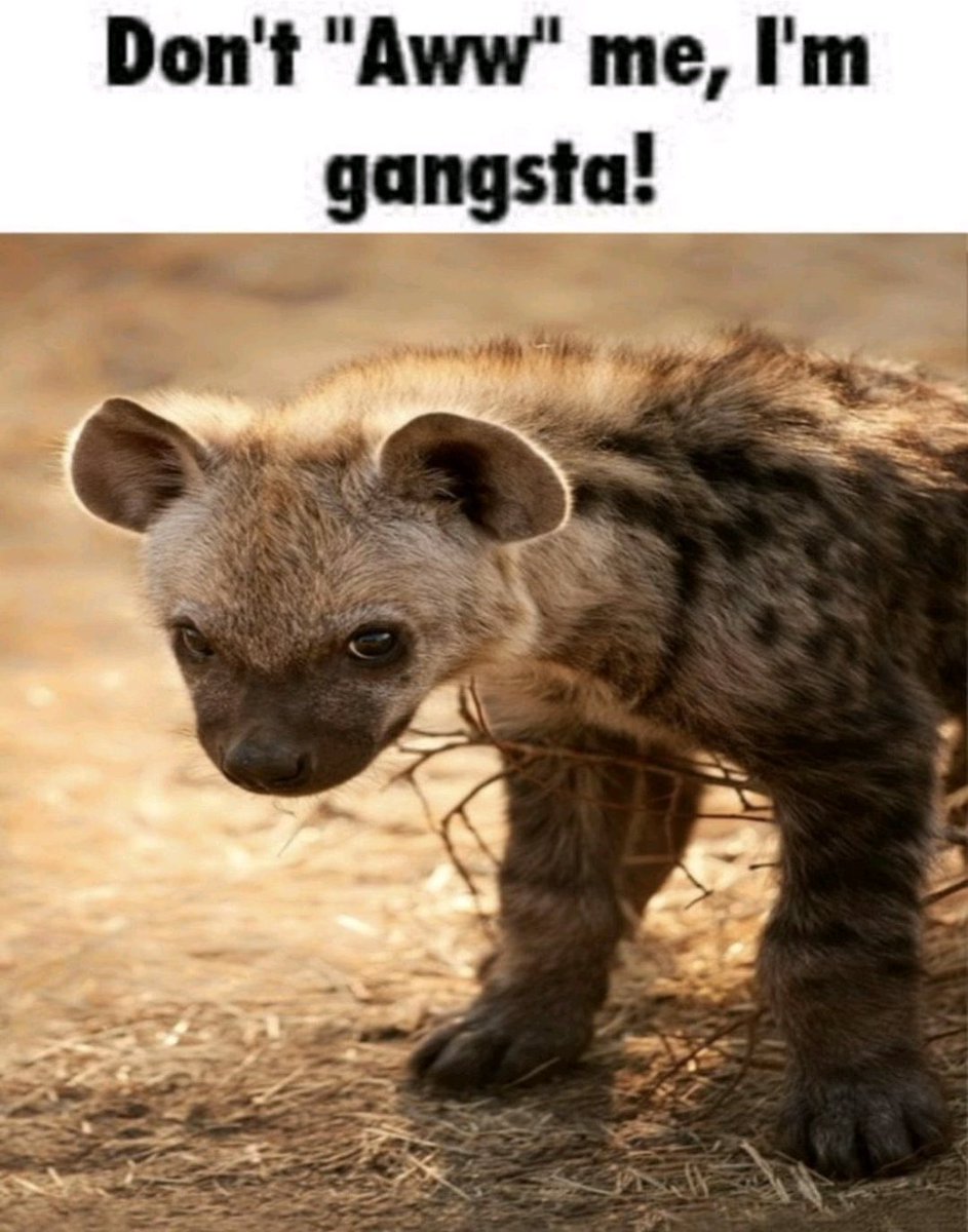 Sweaty butthole with a side of balls