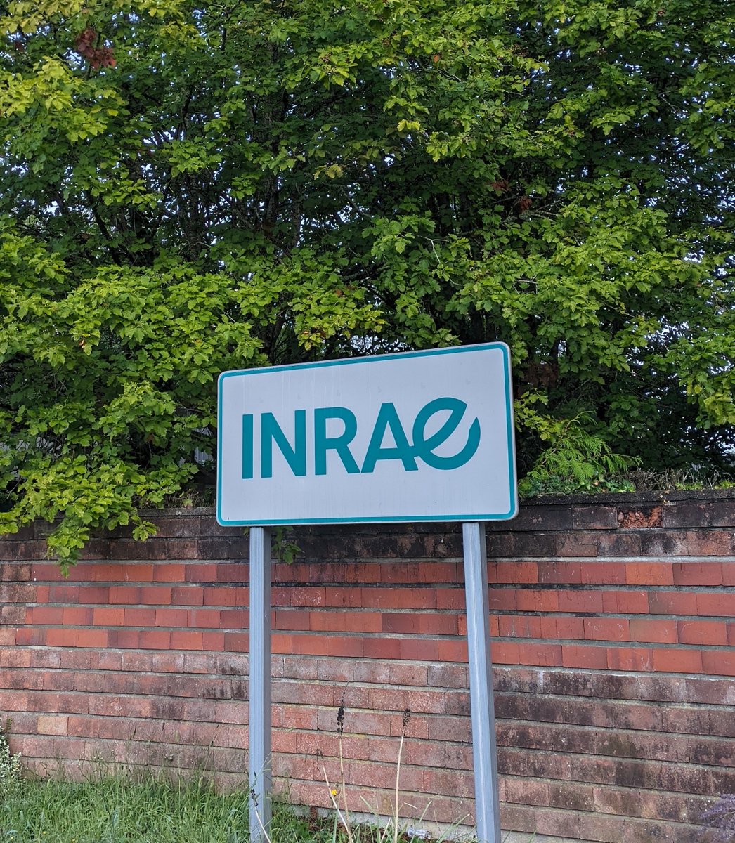 annelab27's tweet photo. I am happy to share that I have started my dream job as a Permanent Researcher (Chargée de Recherche) at the National Institute for Agriculture, Food and Environment (INRAE - Val de Loire - Orléans, BioForA unit) https://t.co/gIPZQqs9zv
