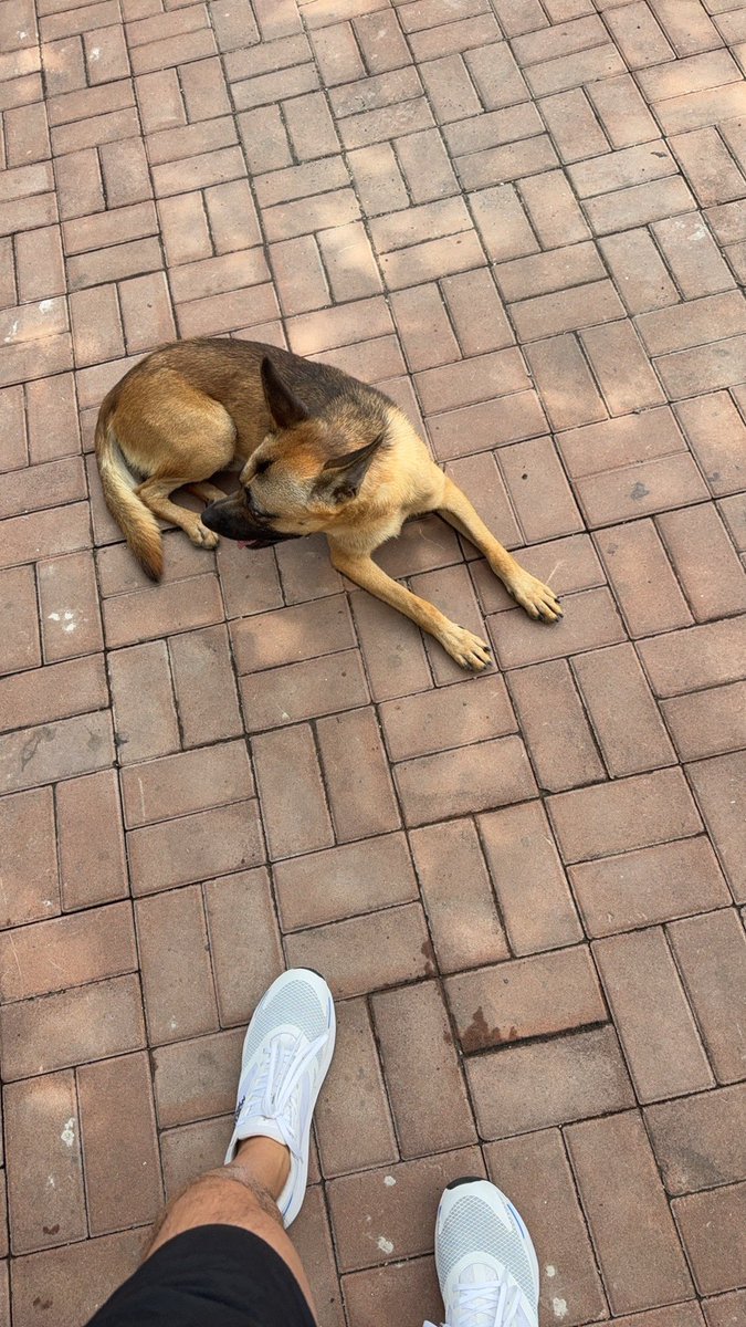 🌎 (@zhengjiudiqiu) on Twitter photo 