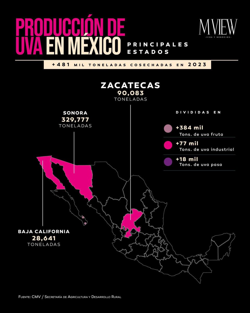 La producción anual de uva en México ronda las 460,000 a 480,000 toneladas, con el estado de Sonora como principal productor, seguido por Zacatecas y Baja California.
