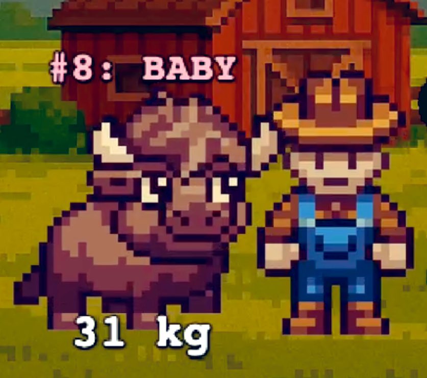 Find someone that looks at you the way a Baby Bison does.

A little preview of our next update.  <a href="/BisonValleyGame/">Bison Valley</a>