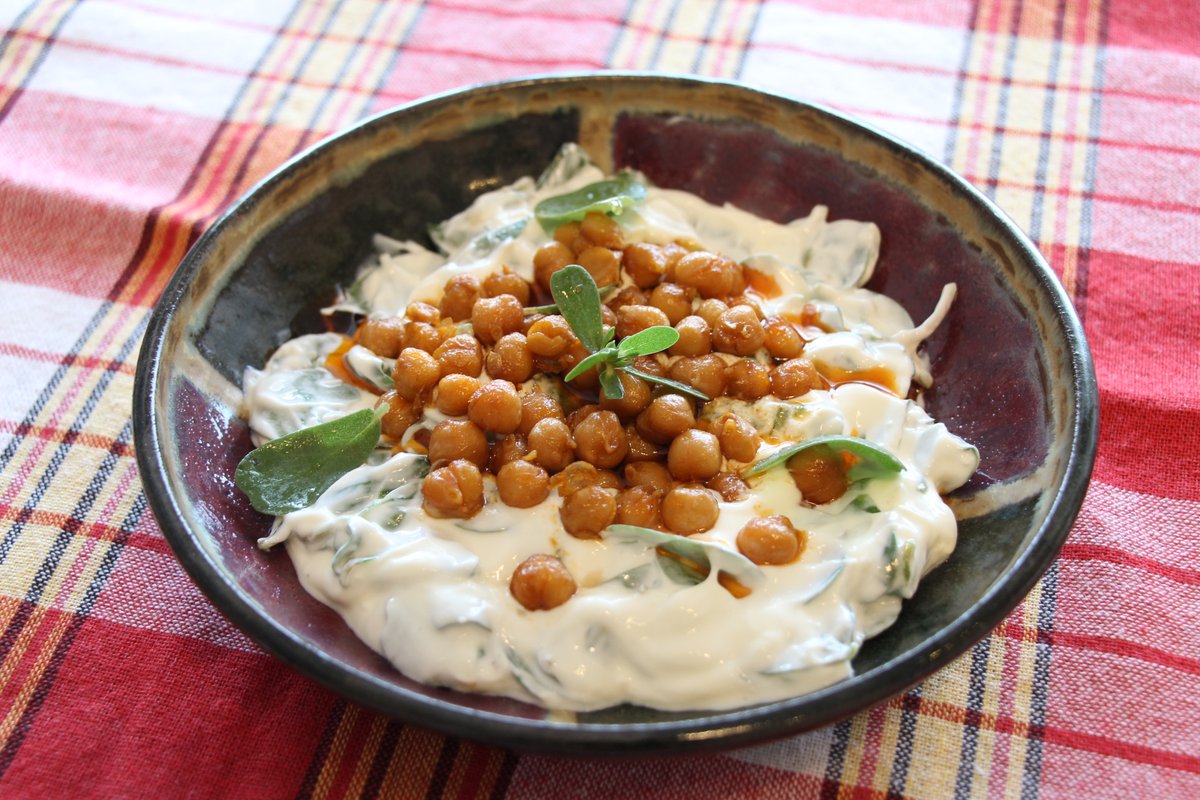 阿佐ヶ谷書院 書籍 インド料理 インネパ トルコ料理 など 10冊セット 阿佐ヶ谷書院】東京都杉並区阿佐ヶ谷にある出版社