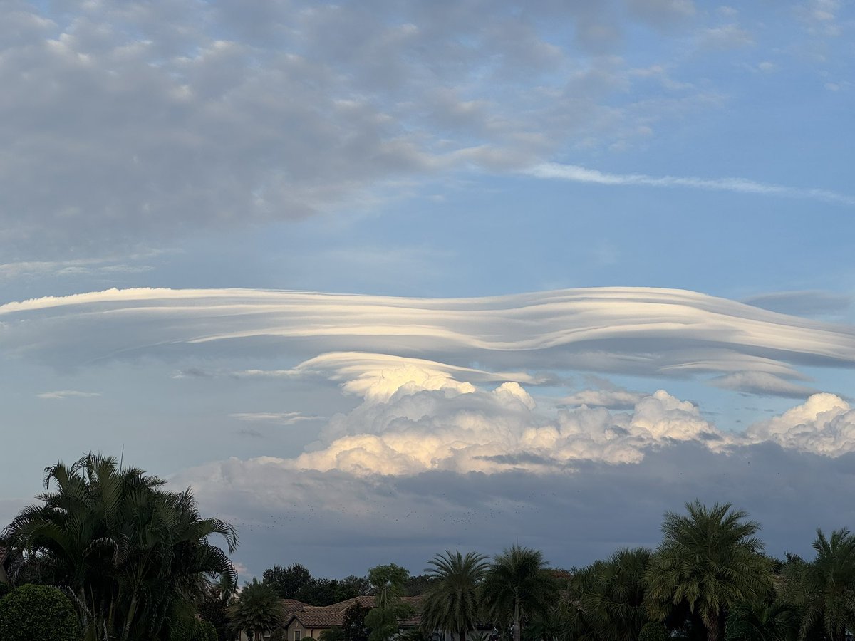 Hey <a href="/PaulFox13/">Paul Dellegatto⚡️FOX</a> 👋🏻 what kind of clouds are these? Kind of cool! East of Lakewood Ranch.