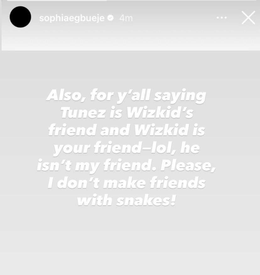 Sophia cooking wizkid on IG😂😂