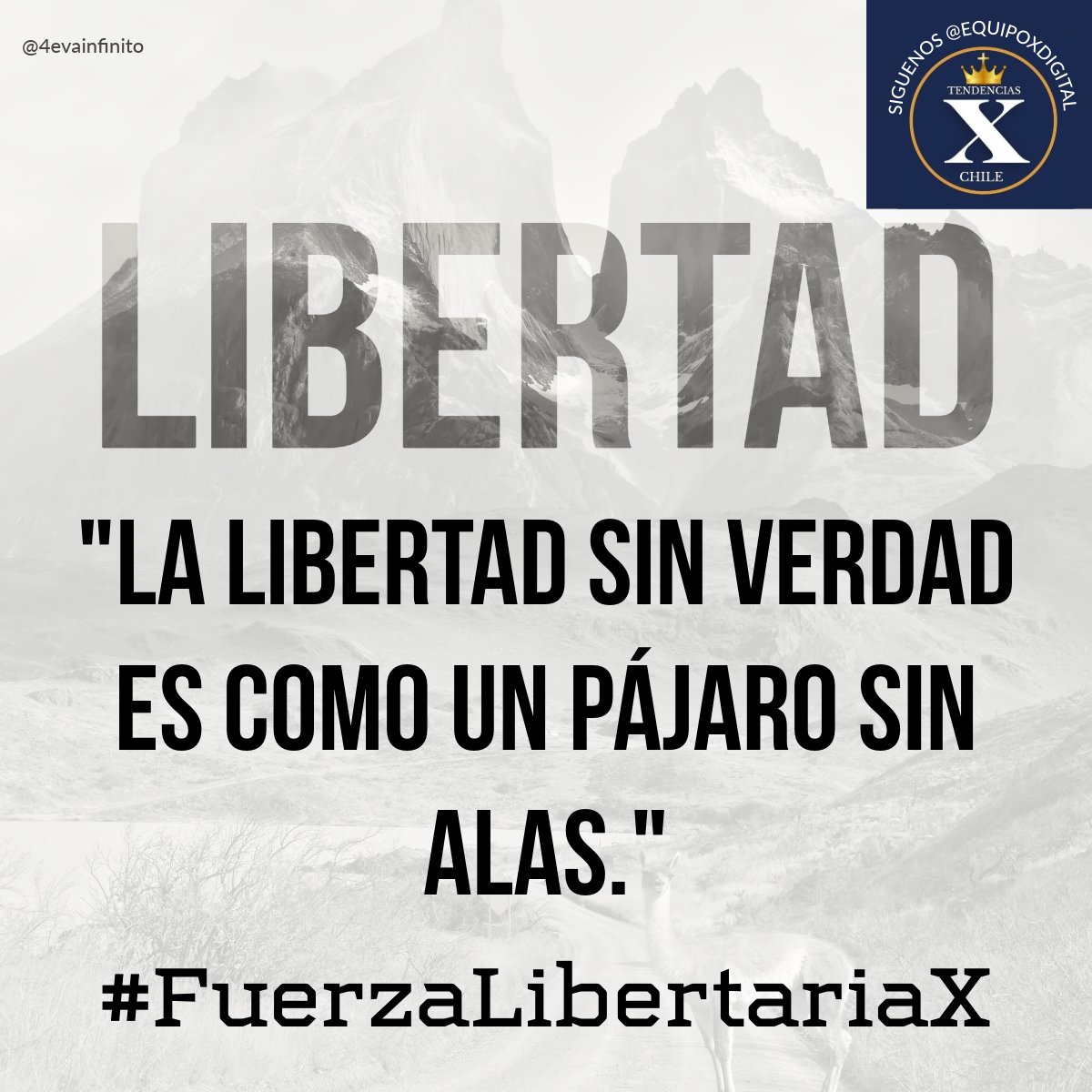 PatriotaDelSur tweet media