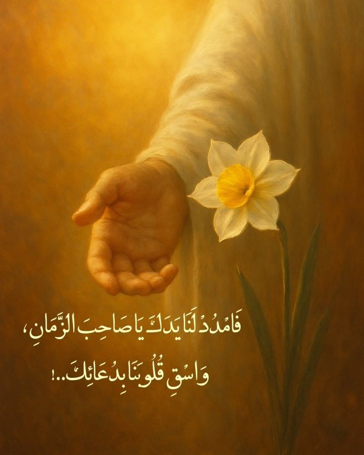 خجل يرشح جبيني..
ضعت ما أدري ويني..
انا اللي باعته الناس..
وأريدك تشتريني 

#ياصـاحـب_الـزمـان