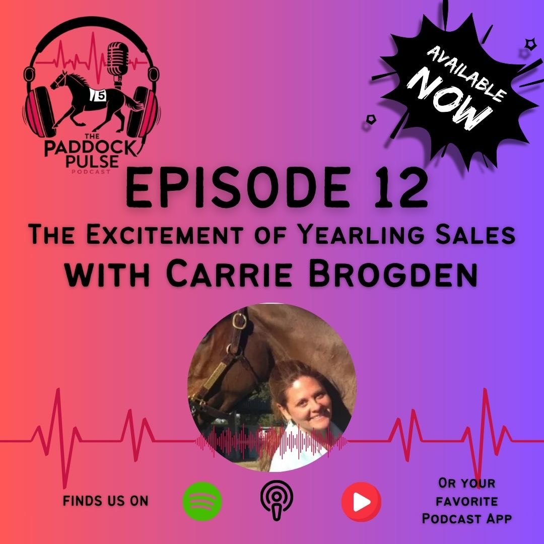 Paddock Pulse tweet media