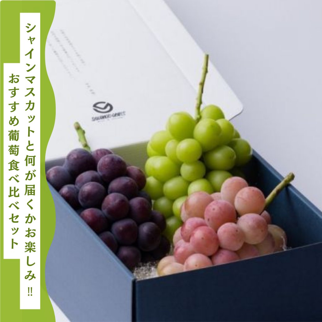 おはぷりん🍮
今日の大阪は晴れ☀ 明日は雨予報ですね☔ 今日は太陽をいっぱい楽しめますように✨ 本日も1日宜しくお願い致します🥰
#企業公式が毎朝地元の天気を言い合う
9/1販売スタート✨ シャインマスットと何が届くかお楽しみ♪ tokimeku-otoriyose.jp/fruits/skmgrap… #SAKAMOTOGRAPES #シャインマスカット