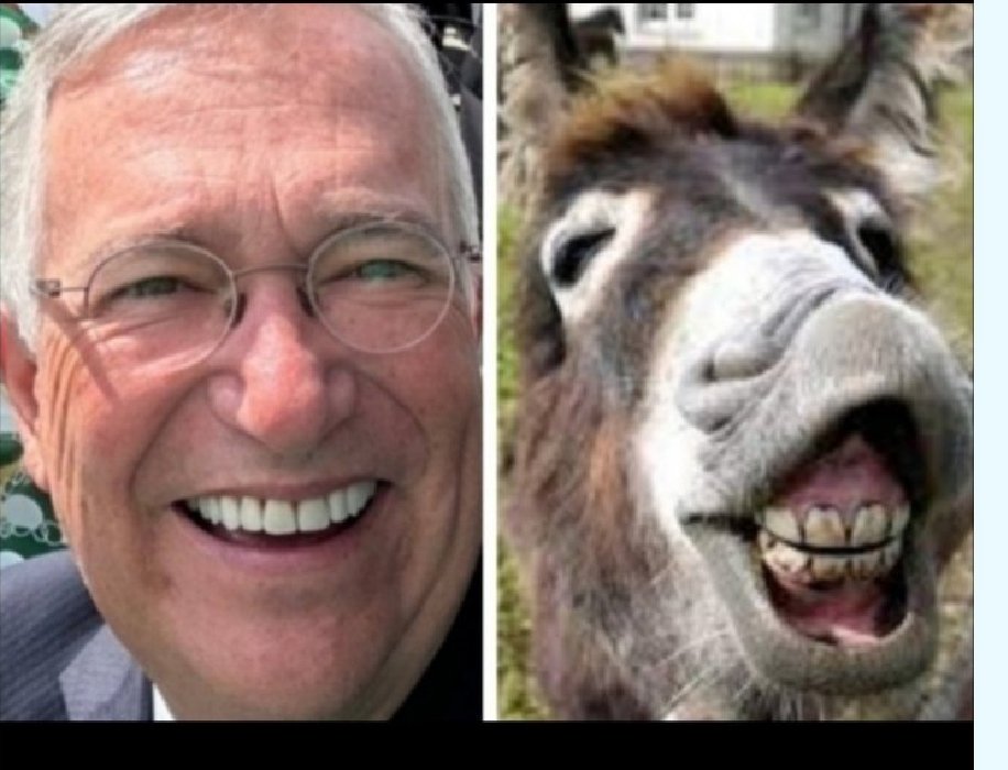 LeonNicteHa's tweet photo. @8Macumba Te refieres al #DientesDeBurro #criminal #chillón #misógino #majadero #evasor #explotador #corrupto ??? https://t.co/ZZqI0kjOUu