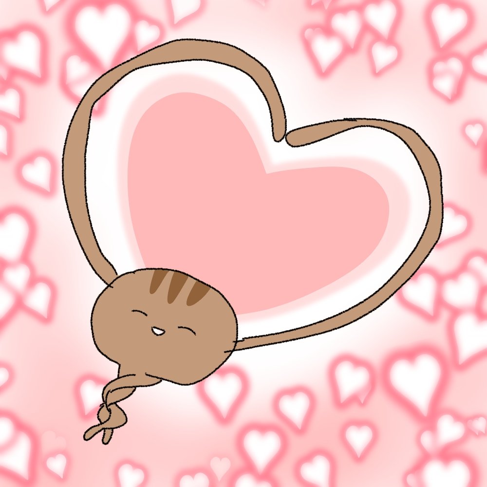 #십오타쿠함선함장대빵오타쿠소야로망과낭만의진성오타쿠김애타생일축하해
대빵생일 축하해요~~!!~!~!!~!!!!