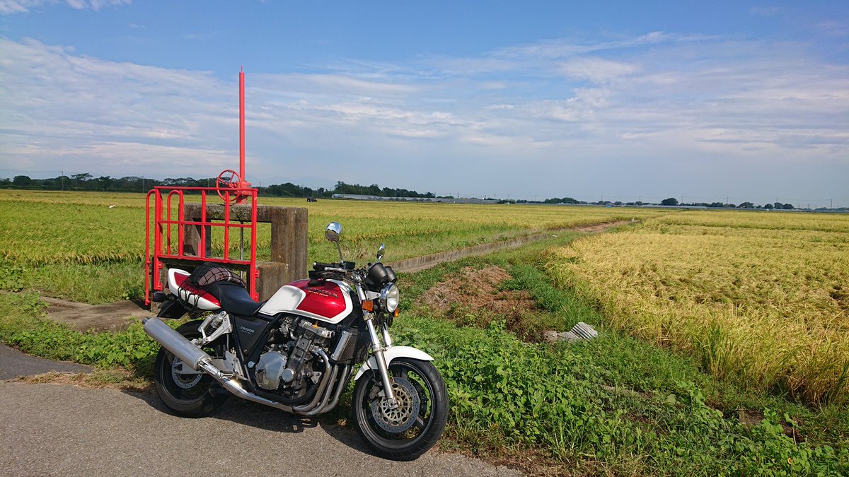 daisyarin20021's tweet image. 田んぼの中を走ると涼しいね😌

#CB1000SF  #SC30