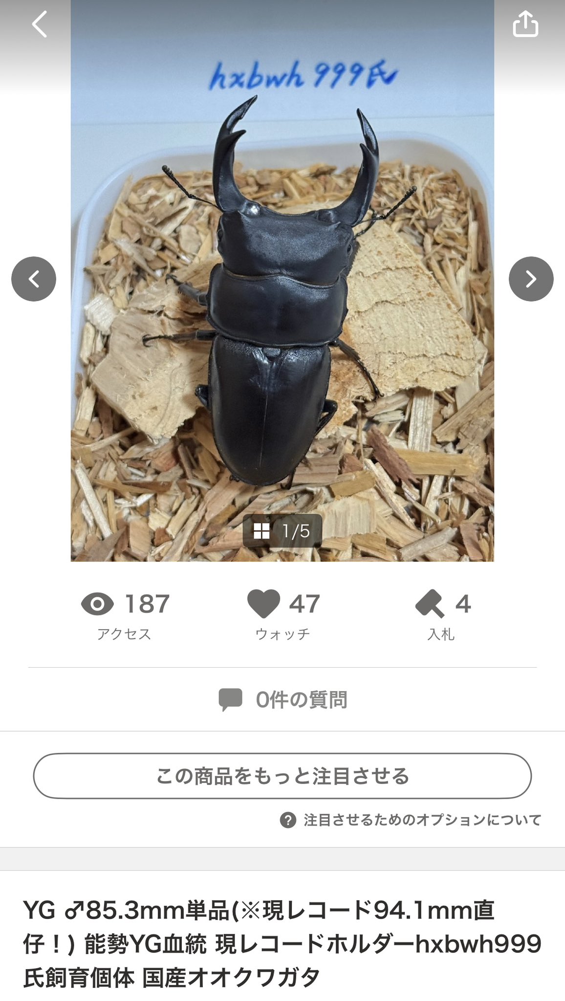 キョンタ　　おまとめ６点 ツキウタ。THE ANIMATION2』主題歌「Paint It Black」／Six