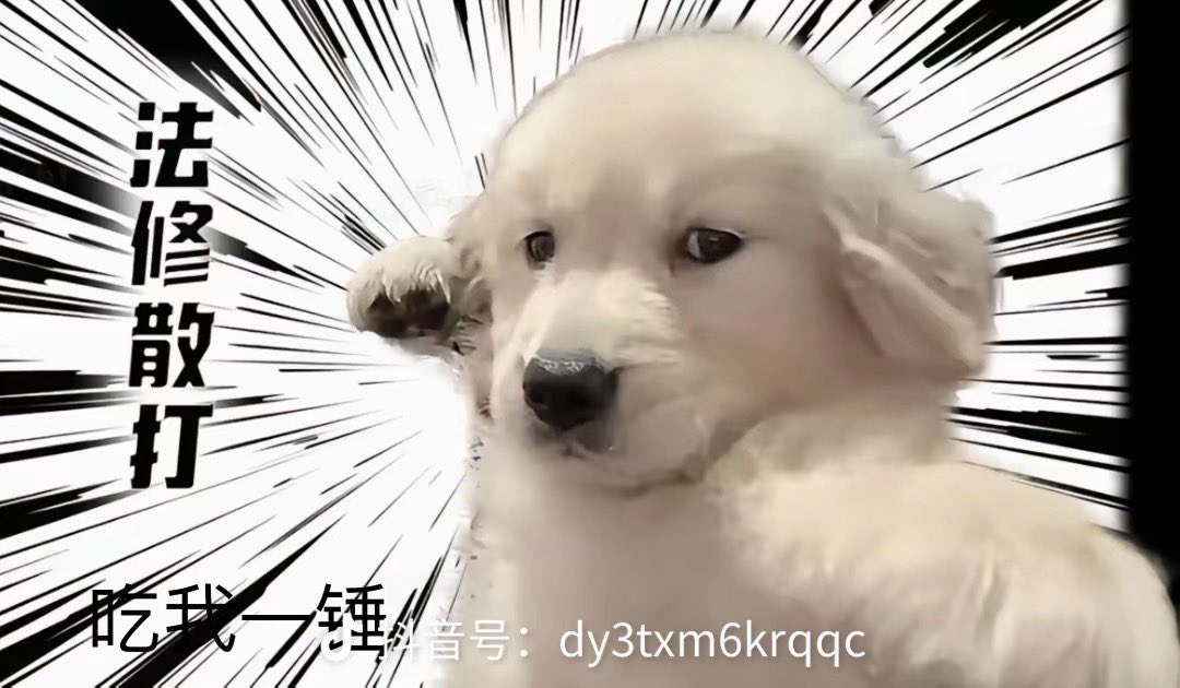 武汉有会拍的星巴克吗？脚大优先😆