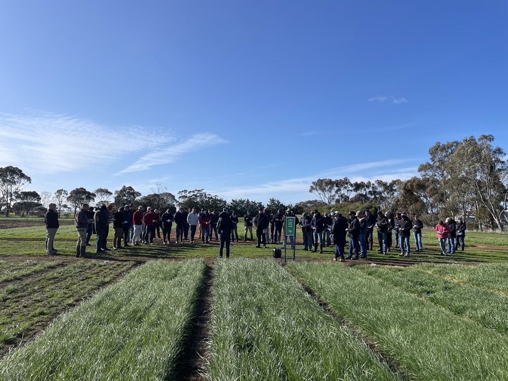Feedbase Focus is underway and what a crowd! A little bit windy but blue skies and sunshine, I can hear the Pastures growing.
