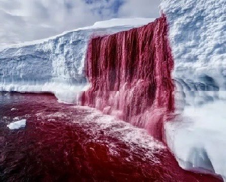 Blood falls in Antarctica, the natural phenomenon most people have never heard of or seen