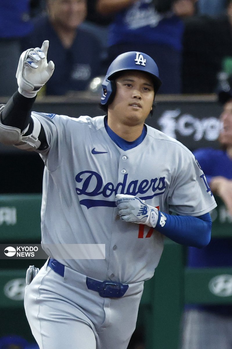 特大 等身大 ダルビッシュ MLB 球団支給 本物 球場バナー 野球
