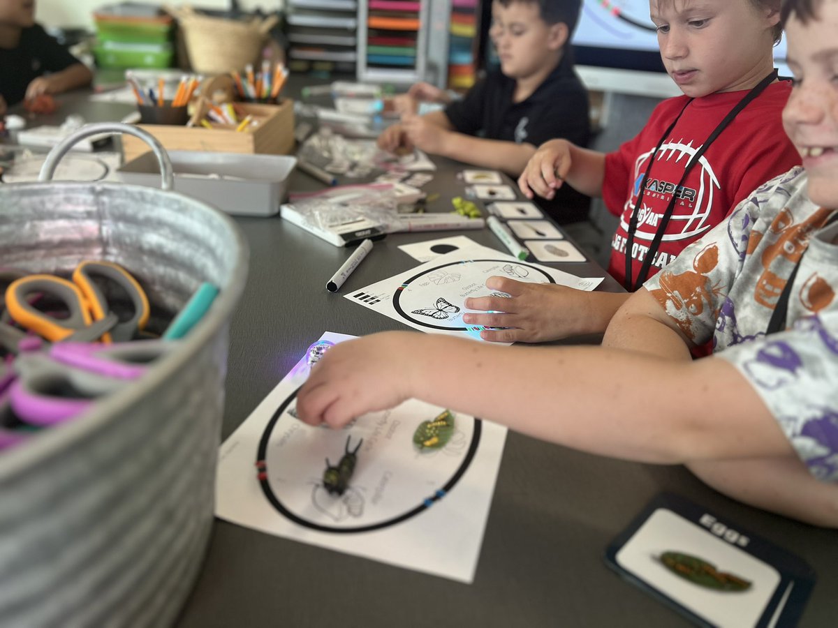 Kristin DeLaTorre tweet media