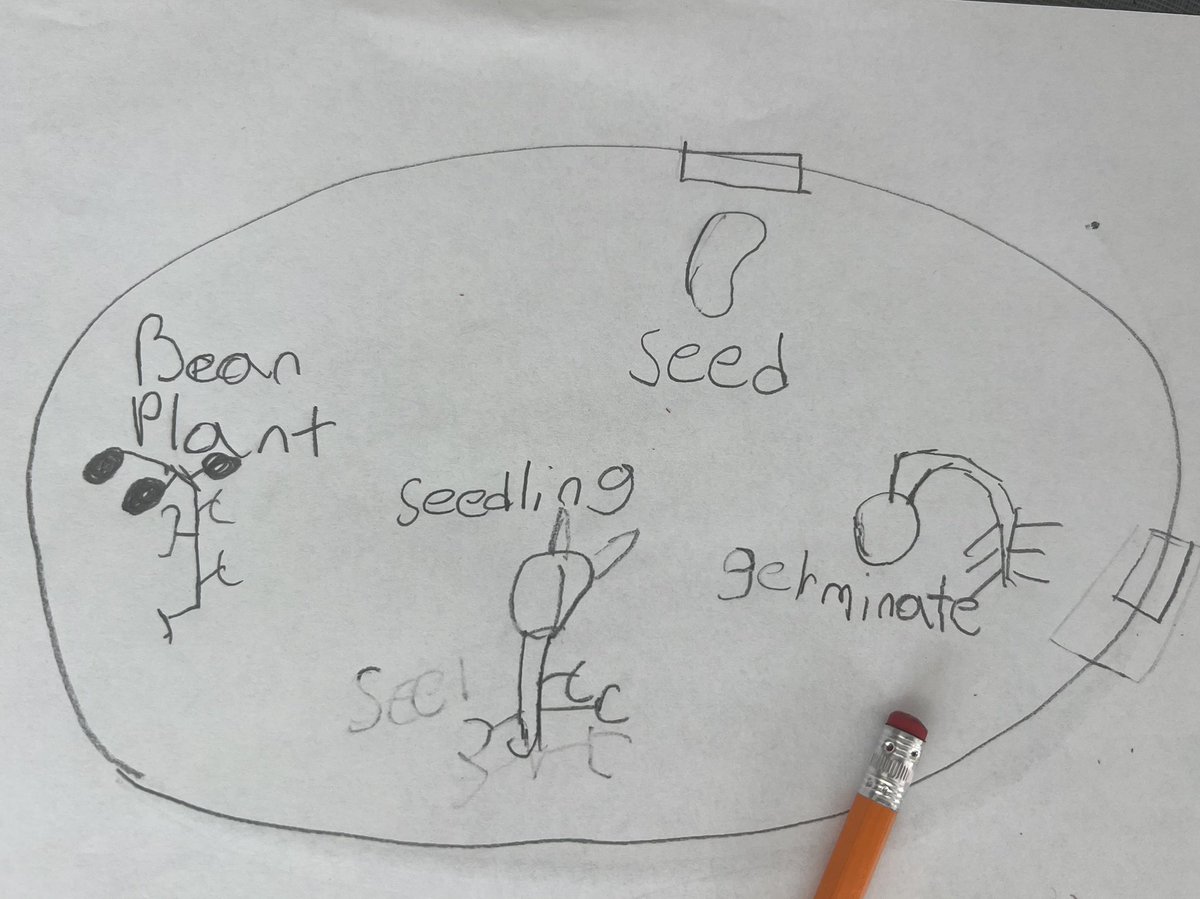 Today in the #STEAM Lab Ss used <a href="/Ozobot/">Ozobot</a> to help understand lifecycles. We used the premade butterfly. Then chose mini 3D sets with cards. Ss used codes that made sense with movement and duration of each stage. #STEAM #STEM #robot #teach #tech <a href="/pbcsd/">The School District of Palm Beach County</a> <a href="/PBCSTEM/">PBC STEM Learning Ecosystem</a>