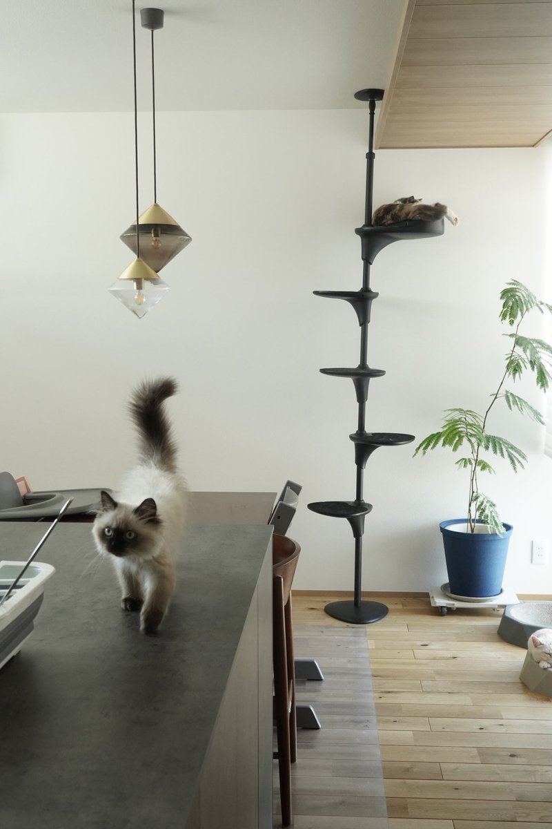 まり@住友森🌳 tweet media