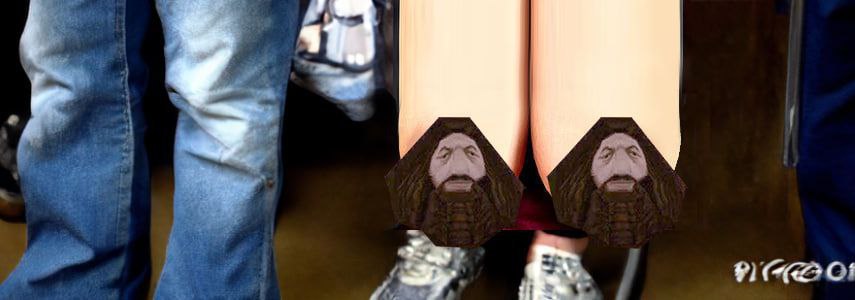 We can't touch the floor