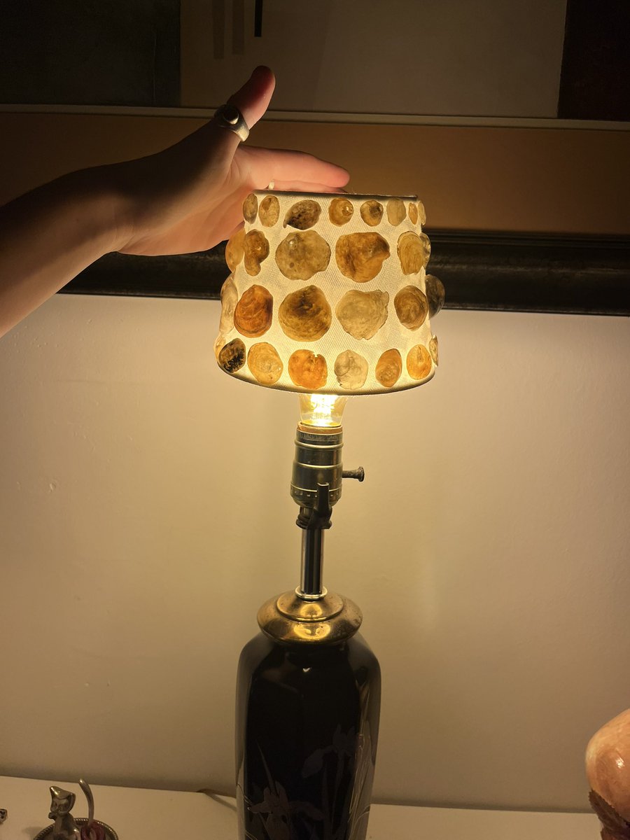 quinoacat's tweet image. Glued a bunch of iridescent seashells to this lamp shade that went with a super boring minimalistic LED chargeable lamp my sister gave me which of course stopped working the minute I was done gluing so I have to display it on this other lamp that’s too big #losing
