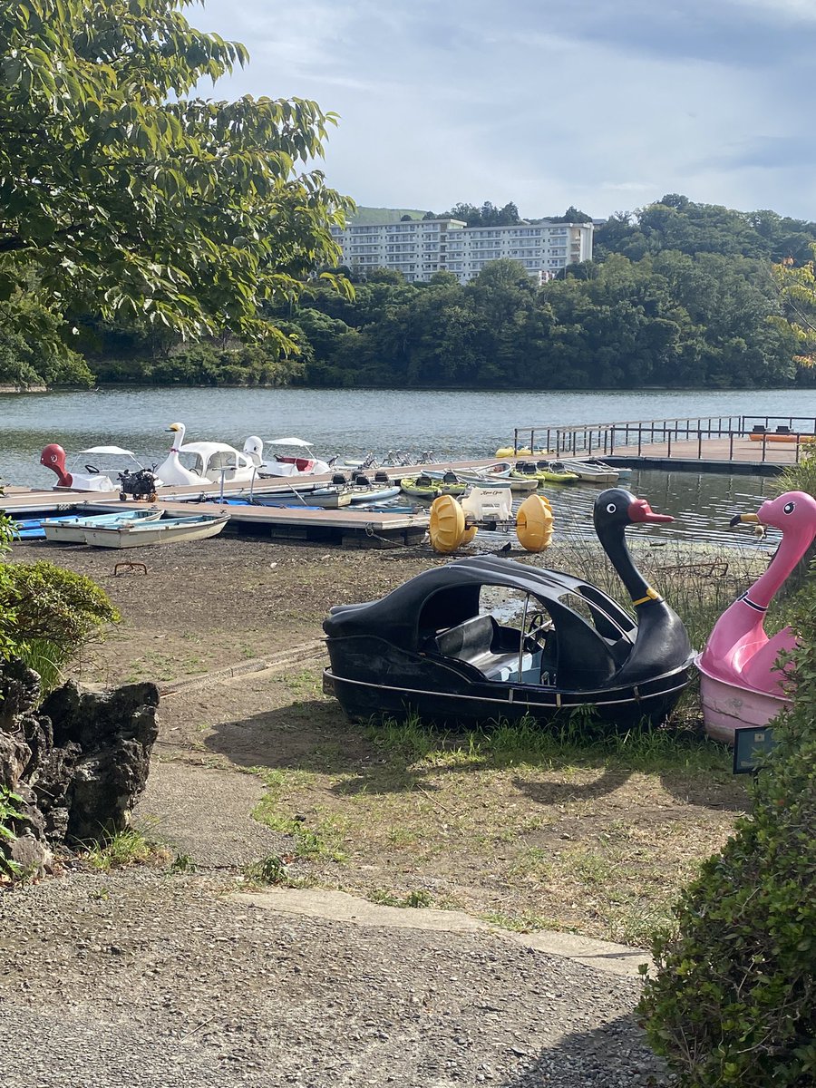 takubomaki's tweet photo. 先日は伊豆の瞳、と呼ばれる一碧湖（いっぺきこ）の視察に担当課と訪れました。
森に囲まれた美しい湖はボート遊びや湖畔を一周できる遊歩道などが整備され伊東市でも人気の観光スポットです。
近年、湖畔で進む開発行為と環境保全との共生が課題となりつつあります。
先人が大切に守ってきた地域の財産を守り次世代へ引き継ぎ、観光資源として活かしていくための方策を積極的に講じて参ります。
#伊東市 #一碧湖 
#伊豆