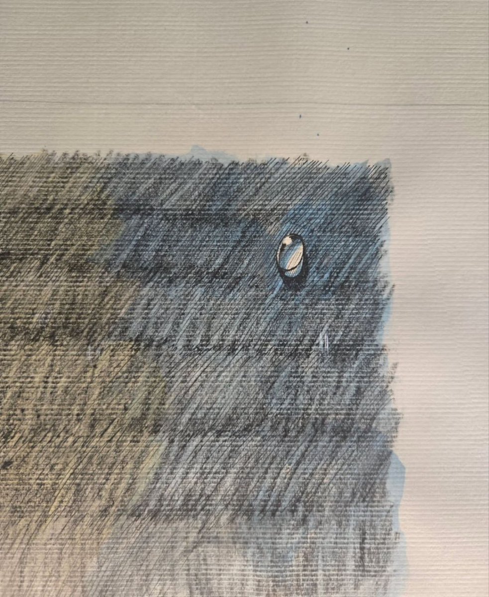 PERSIAN RM tweet media