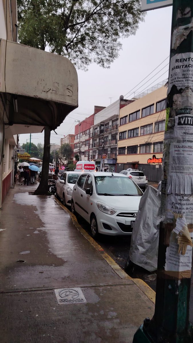 Vecinos Educación tweet media