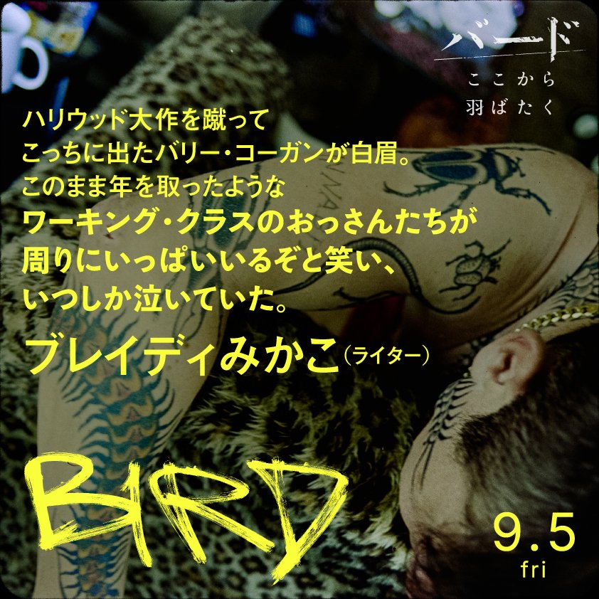 bird_habataku's tweet image. ✎𓈒𓂂𓏸 𝗖𝗢𝗠𝗠𝗘𝗡𝗧

ハリウッド大作を蹴ってこっちに出たバリー・コーガンが白眉。
このまま年を取ったようなワーキング・クラスのおっさんたちが周りにいっぱいいるぞと笑い、いつしか泣いていた。

—— #ブレイディみかこ(ライター)

#バードここから羽ばたく
𝟵.𝟱 𝗳𝗿𝗶