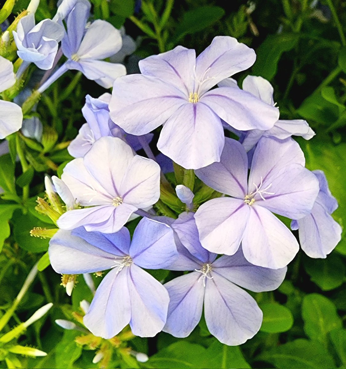 こんにちは👋😃

昨日今日は母親の🏥病院
本人もショートステイで頑張って
いるから少し歩けるようになって欲しい

午後も夏バテしないように
水分補給こまめに頑張ろう🤭