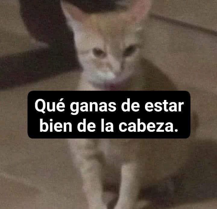 En_jupiter_'s tweet image. 