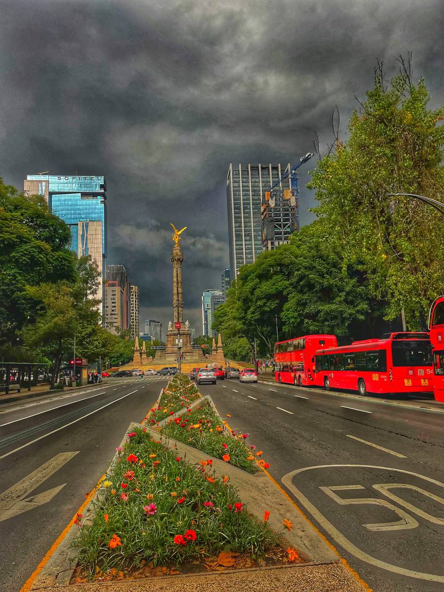 Miércoles, mitad de semana, momento perfecto para recargar el alma. ☺️💕

metrobus.cdmx.gob.mx