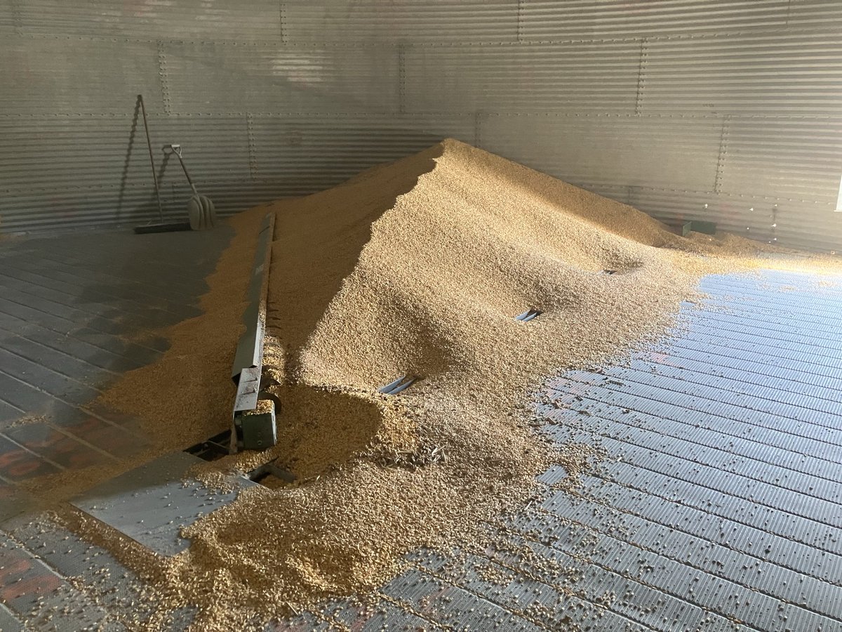 Well the last of 2024’s marketing blunders is on the way out the door!  At least the bugs didn’t find it.