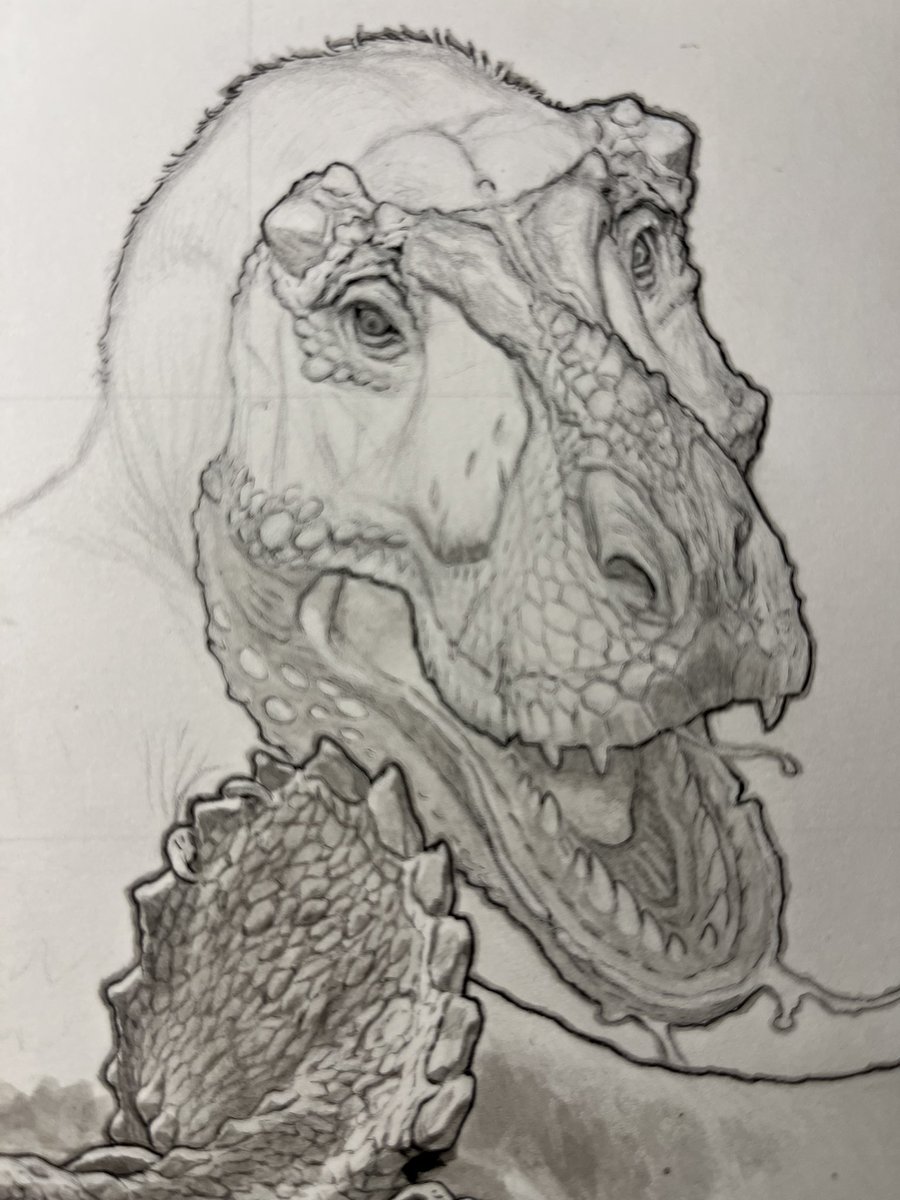 lewislarosa's tweet photo. Mostly basing this one on AMNH 5027. It’s distorted of course but it’s got such cool brow horns. Part of my art book ending in 2 days https://t.co/JLtHf7FqzS https://t.co/ntFdLGHClK