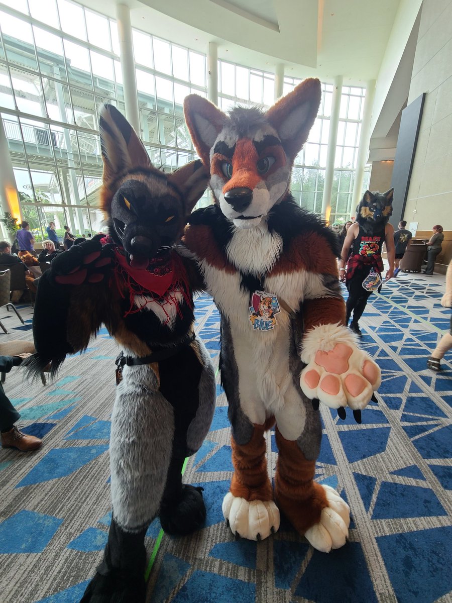 Who knew foxes and coyotes could go so well together! #MP2025 

Suiters: <a href="/honeyeaue/">𝐂𝐚𝐫𝐦𝐞𝐧 🔜 🇯🇵</a> and <a href="/bluecoyote/">Blue</a>