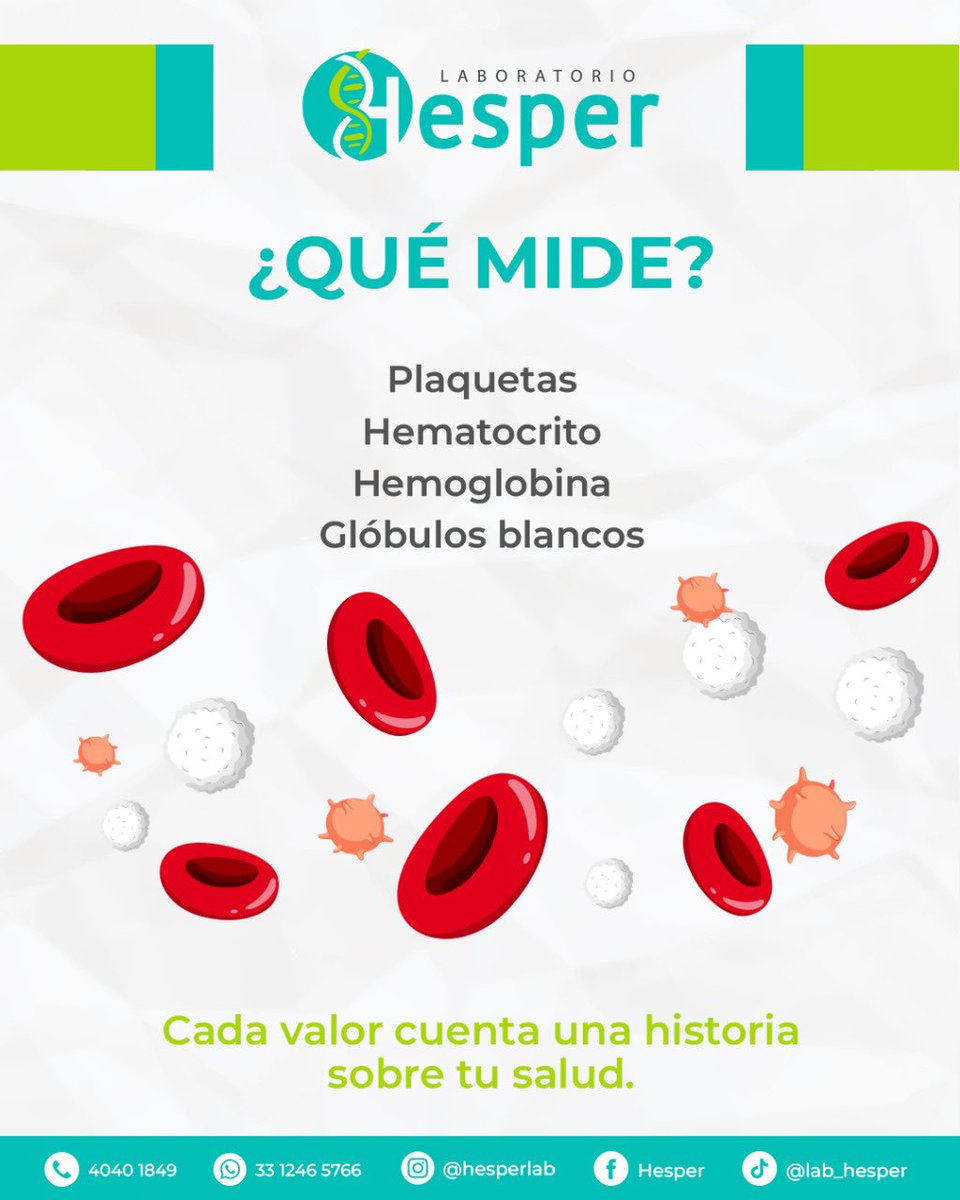 Hesperlab's tweet image. ¿𝗤𝘂𝗲́ 𝗲𝘀 𝘂𝗻𝗮 𝗯𝗶𝗼𝗺𝗲𝘁𝗿𝗶́𝗮 𝗵𝗲𝗺𝗮́𝘁𝗶𝗰𝗮? 🩸 

En 𝗟𝗮𝗯𝗼𝗿𝗮𝘁𝗼𝗿𝗶𝗼 𝗛𝗲𝘀𝗽𝗲𝗿 te cuidamos desde adentro. La biometría hemática es un análisis de sangre que evalúa tus glóbulos rojos, blancos y plaquetas, ayudando a detectar desde infecciones hasta anemia