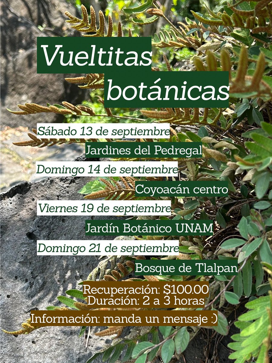*Actualizacion : Las vueltitas botánicas vuelven. La fecha del 20 se pasa al 19 :)