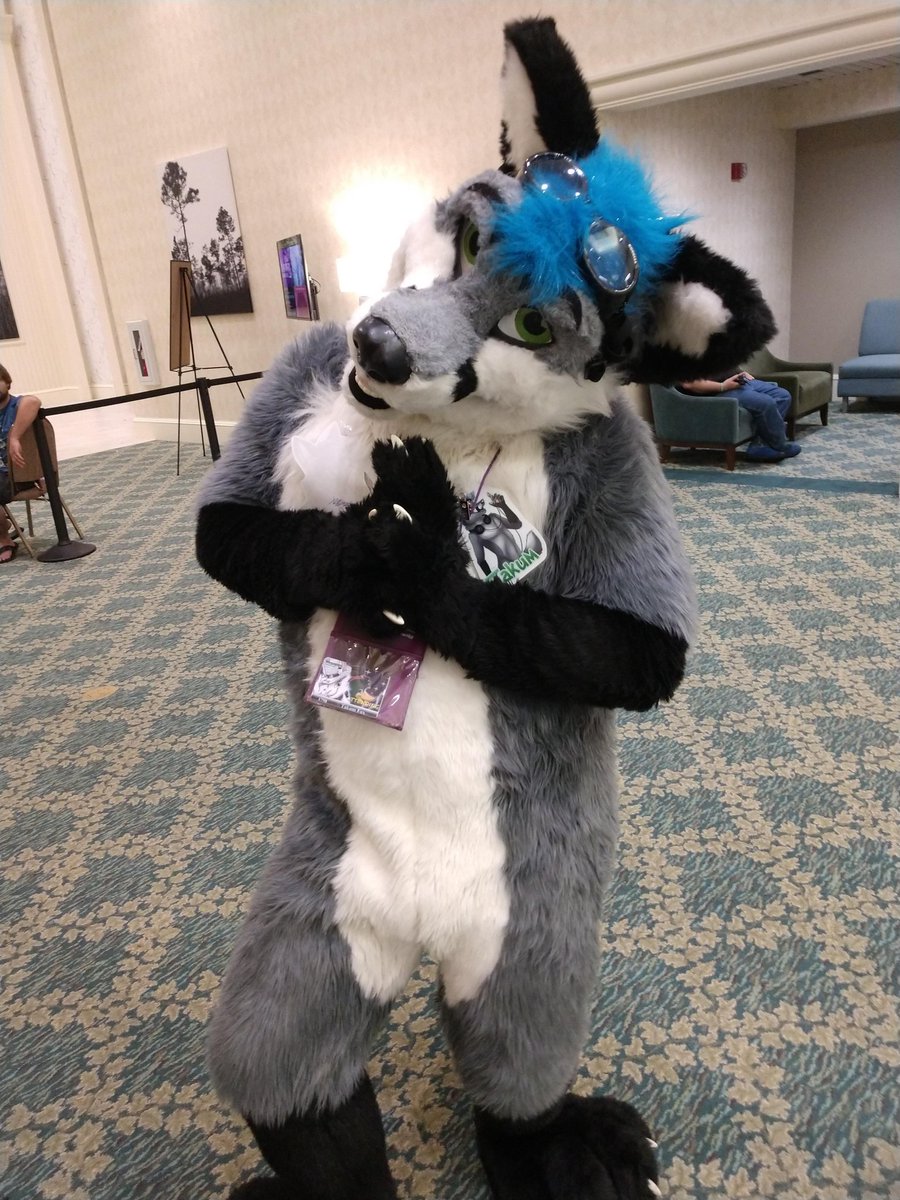 AzulBlackJaguar's tweet photo. @TakumFox was the 1st friend I ever had in the fandom and I 1st met him irl at my 1st con #MP2019. Was great seeing him at #MP2025 again after 6 years 💙 https://t.co/IF2RISSrZZ