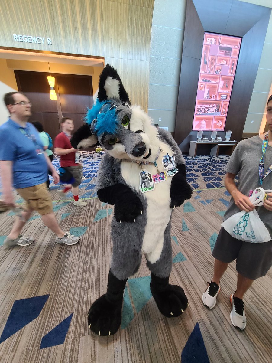 AzulBlackJaguar's tweet photo. @TakumFox was the 1st friend I ever had in the fandom and I 1st met him irl at my 1st con #MP2019. Was great seeing him at #MP2025 again after 6 years 💙 https://t.co/IF2RISSrZZ
