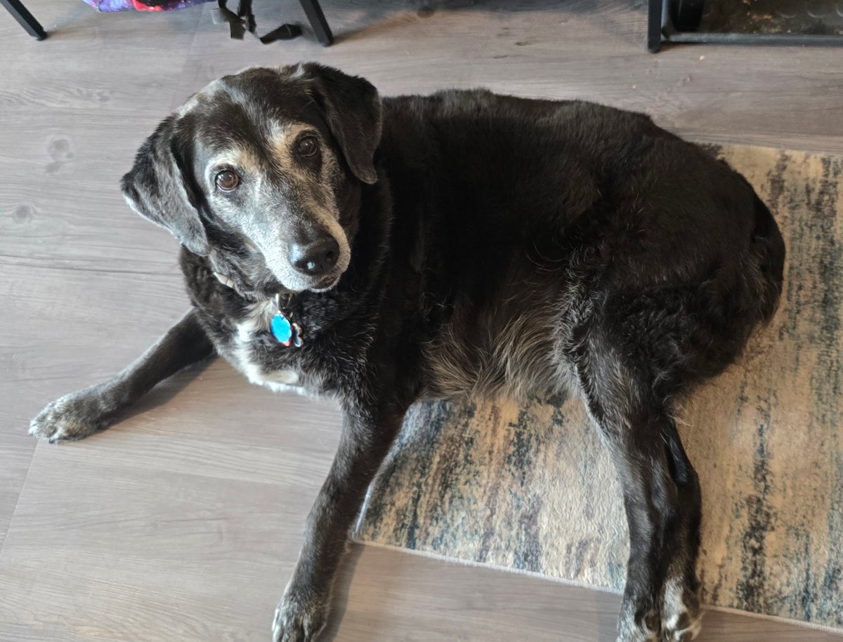 🍻 Vince L tweet media