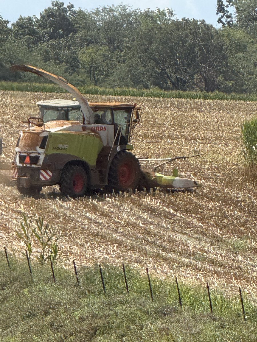 Things are looking a little rusty in S IA.