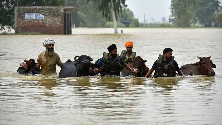 iamgurpreetmaan's tweet image. Praying for Punjab. We will rise again from this situation 🙏 #punjabflood