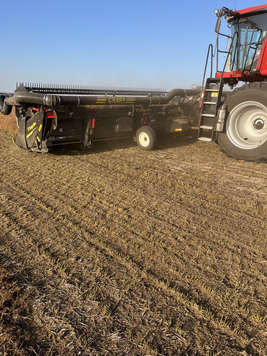 If you’re not cutting lentils with a ⁦<a href="/HoneyBeeMfg/">Honey Bee Mfg</a>⁩ Airflex NXT, well, sorry for your loss. 

Actually, I don’t know about recent other brands, but have no complaints how this bad boy works and it’s tough cutting. #harvest25