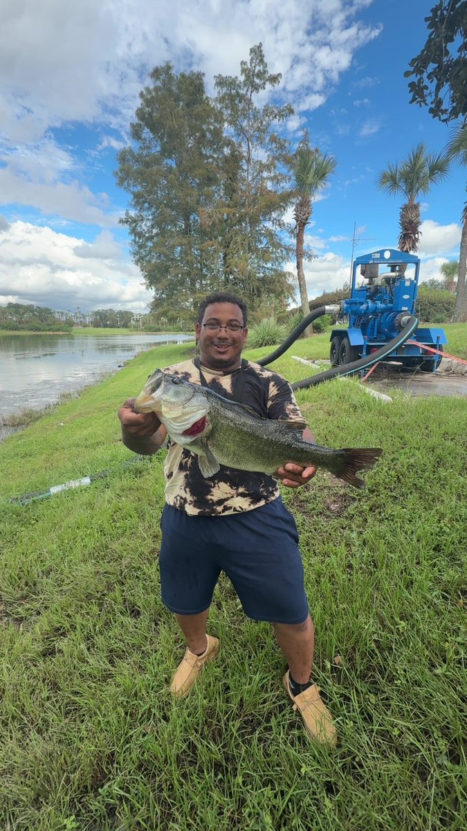 Exo Bear tweet media