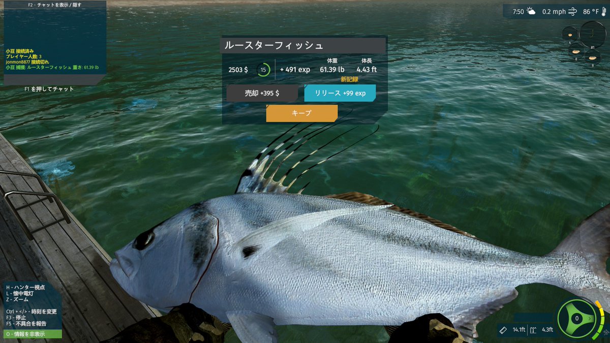 31adzuki's tweet photo. 気持ちいい　#究極の釣りシミュレータ #UltimateFishingSimulator #steam https://t.co/sANKJy544b