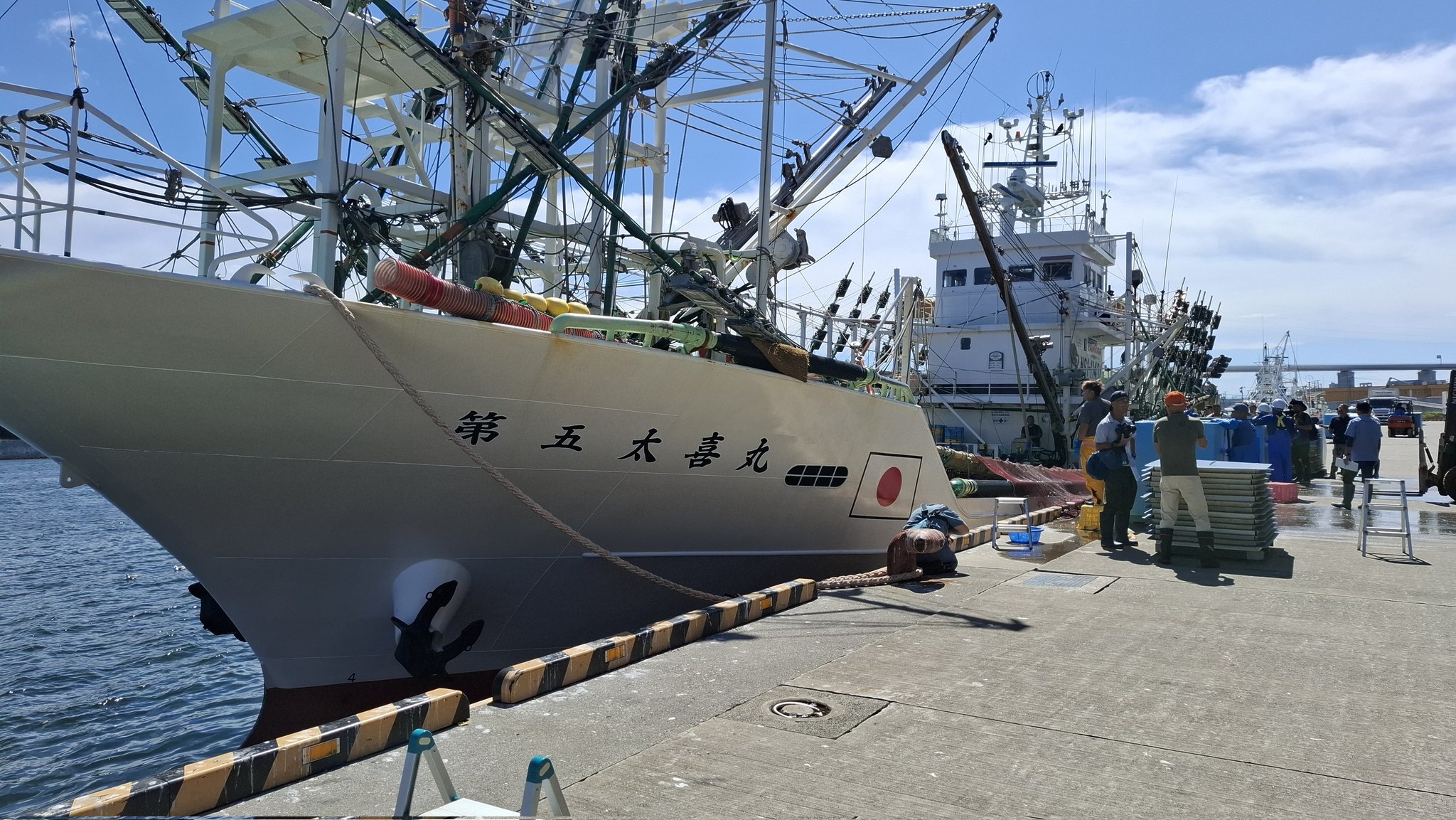 なまさんま さんま開き | [和歌山]釜揚げしらすと海産物の通販・お取り寄せ