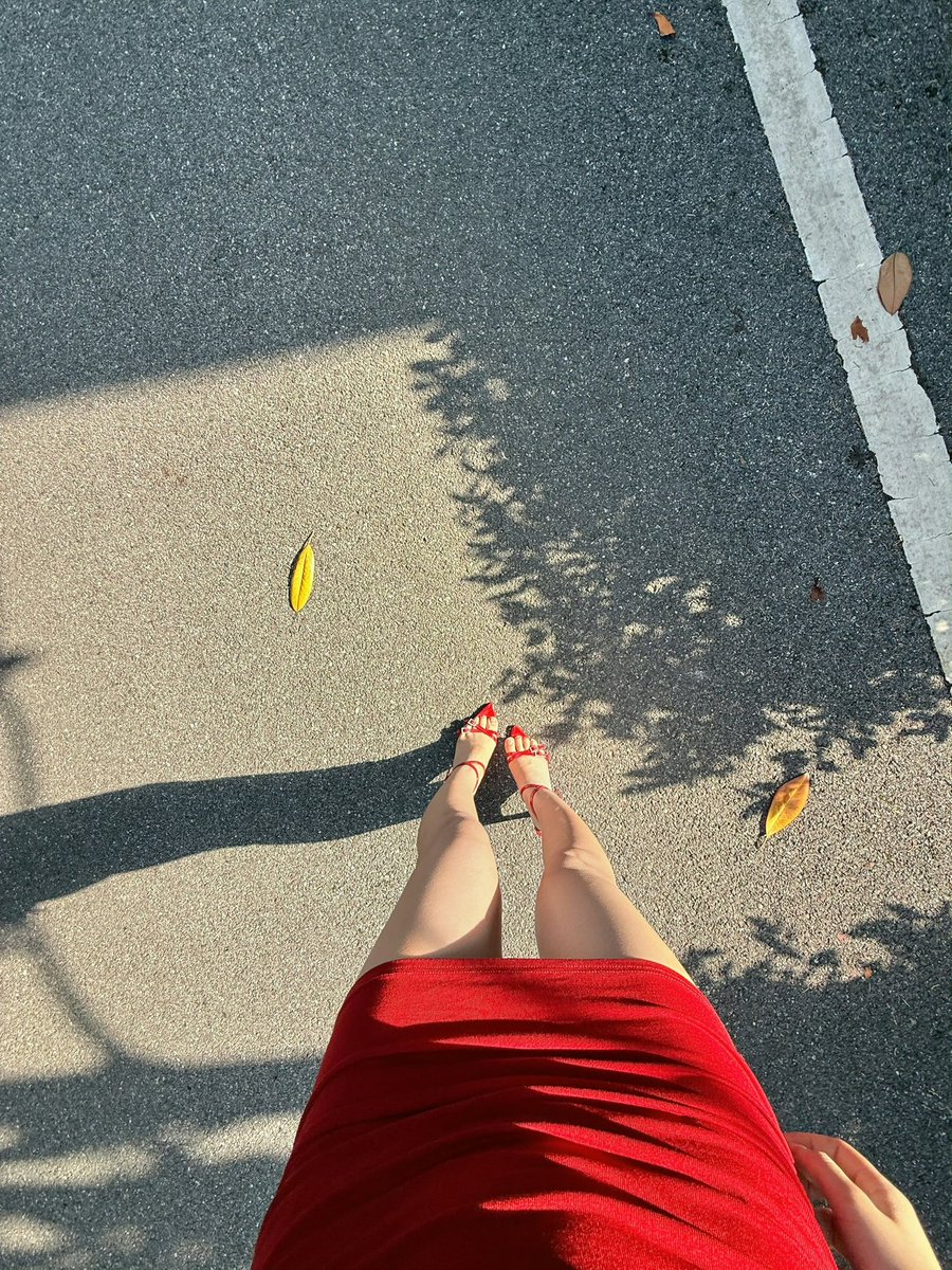 命运会用次品诱惑你 你需要反复说不要 直到命运真正拿出你真正喜欢的礼物 https://t.co/0a8R5oqJwT